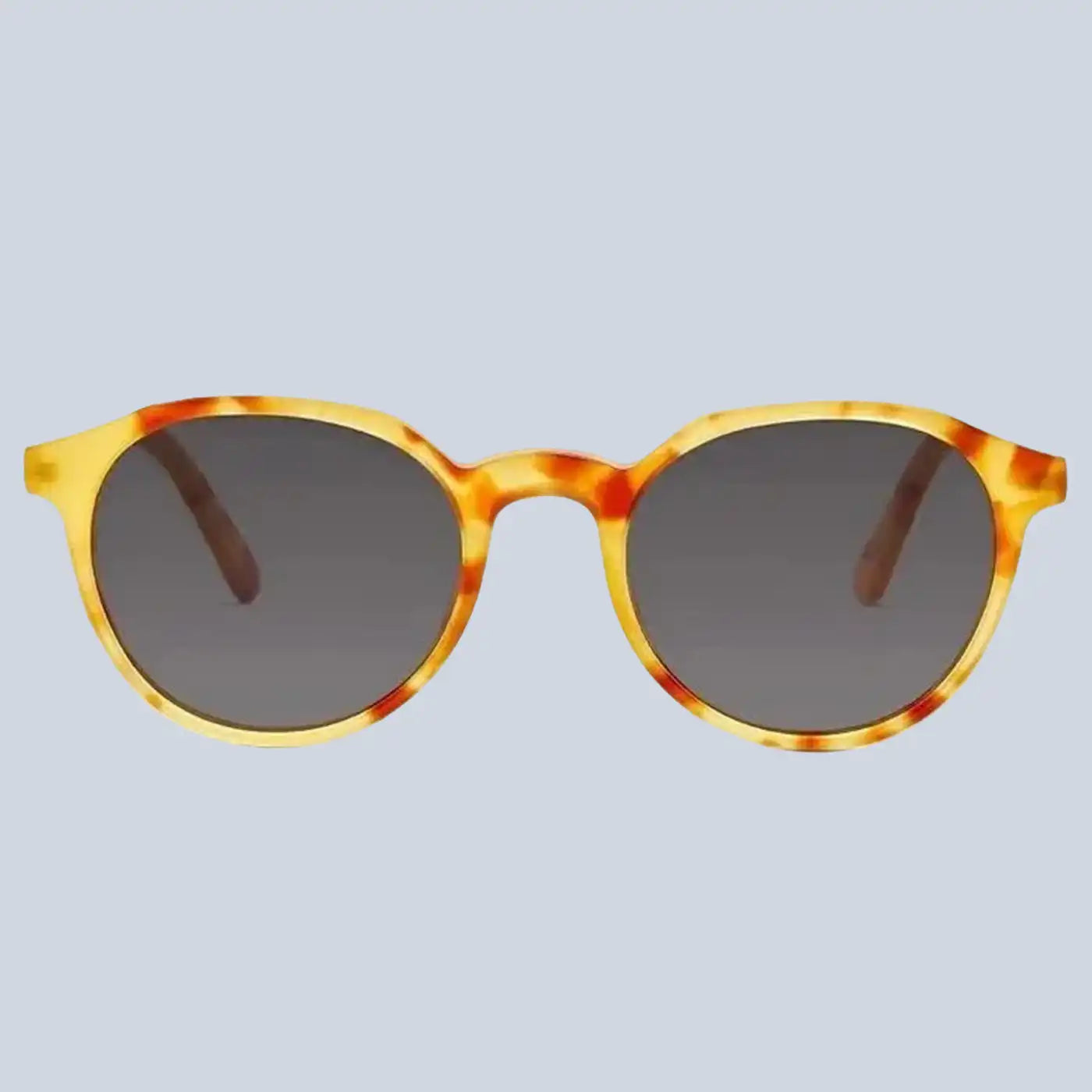 نظارات ⁦Barner Sun Glasses Williamsburg - Light Havana⁩