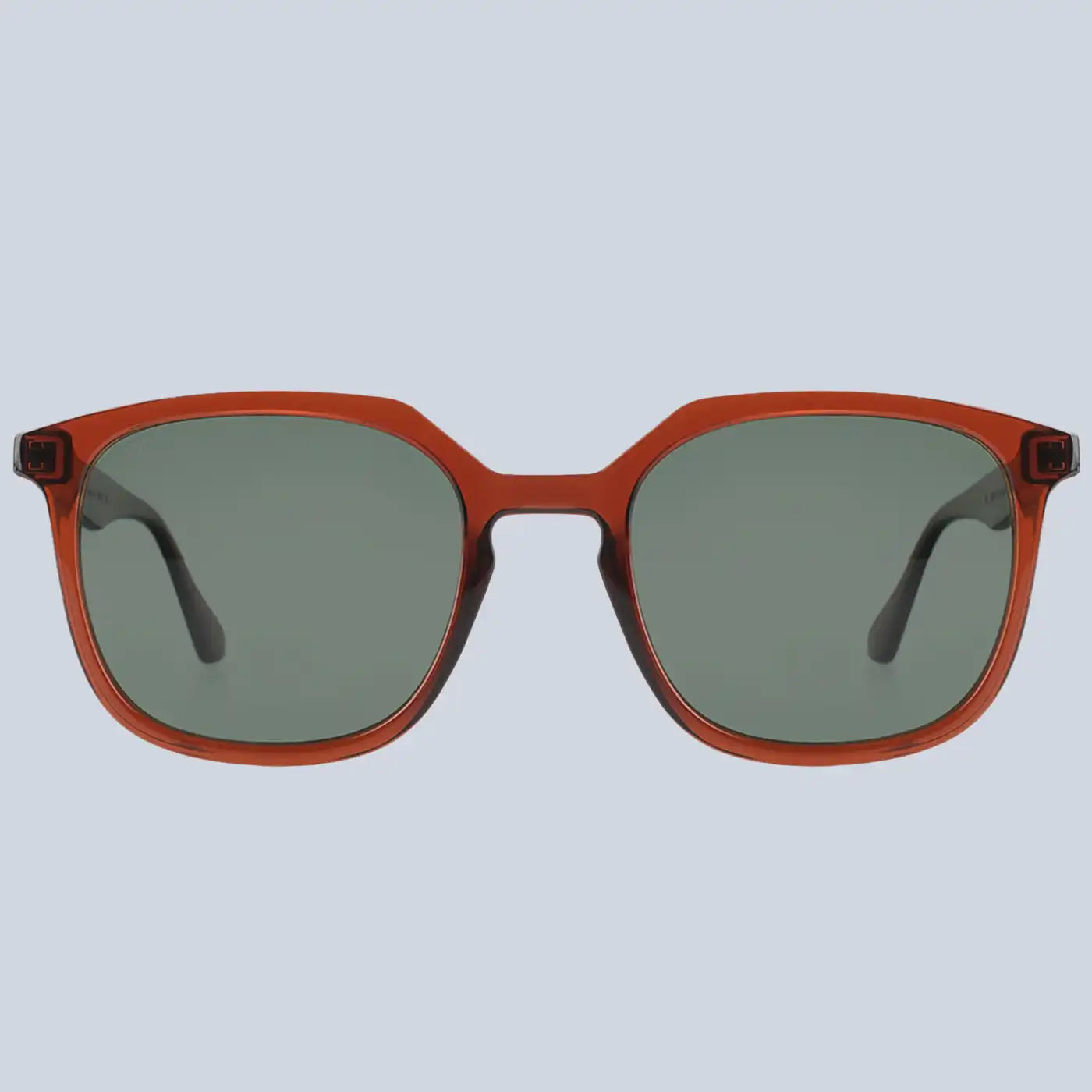 نظارات ⁦Looklight Coffey Jelly Brown⁩