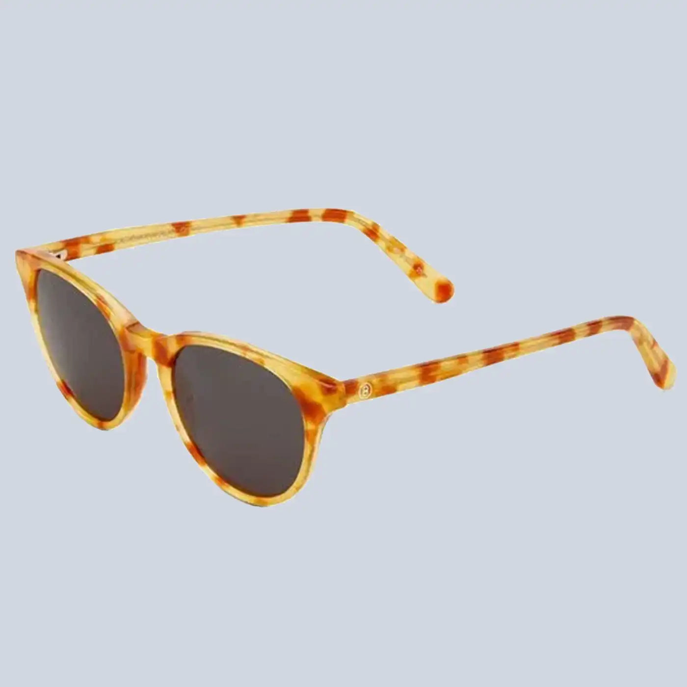 ⁦Barner -⁩ نظارات شمسية - ⁦Gracia - Light Havana⁩
