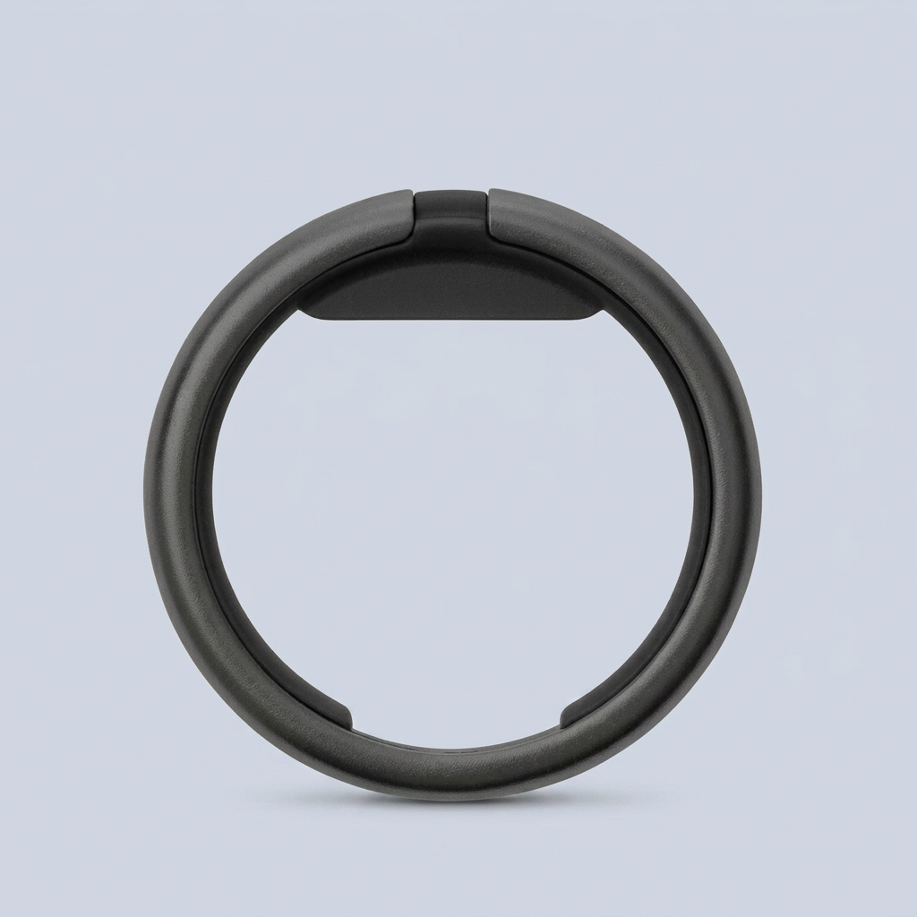 Orbitkey RNG Ring - Black product photo